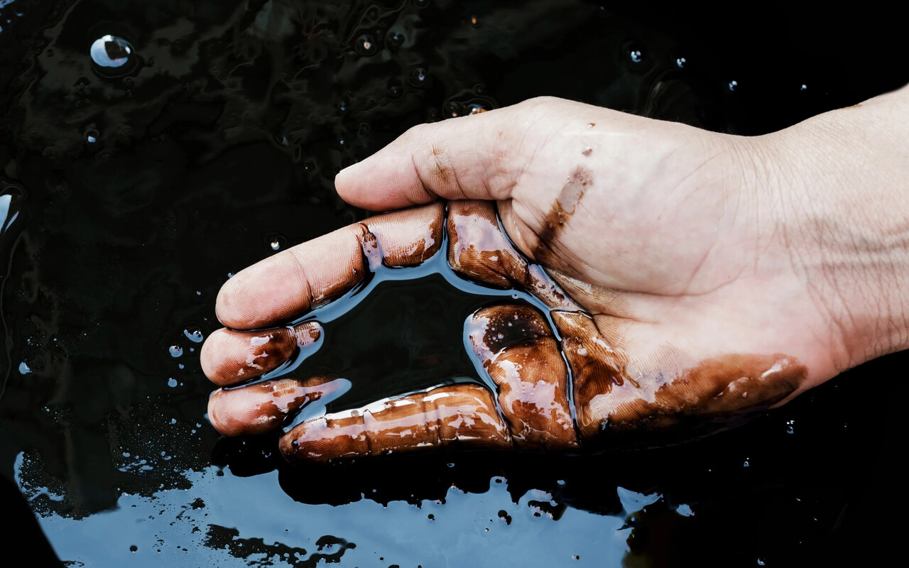 Ученые создали неубиваемые дрожжи для замены нефти в промышленности